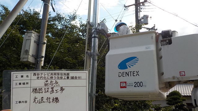 DENTEX