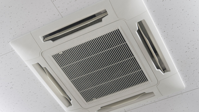 DENTEX