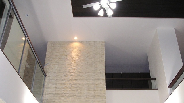 DENTEX